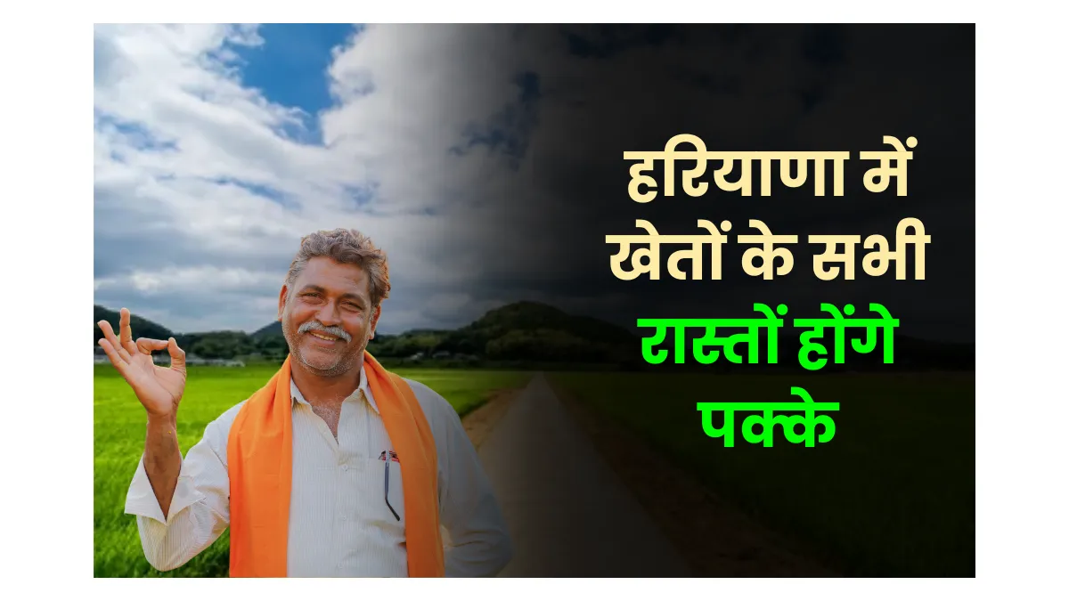 Haryana Road Fine