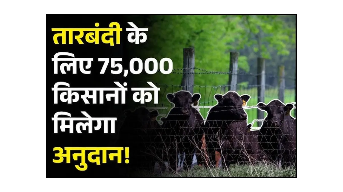 Tarbandi Yojana 2025